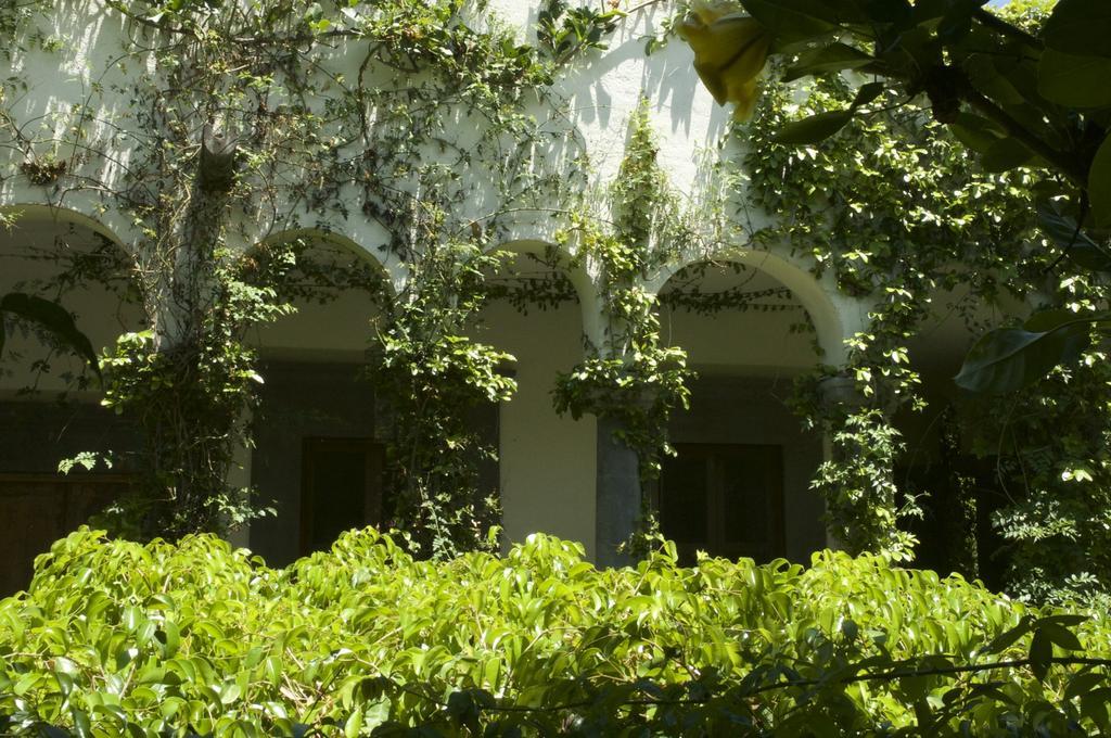 Casa Mision De San Miguel Hotel San Miguel de Allende Kültér fotó